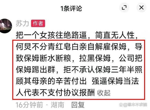 何炅被实名举报欠薪保姆3年，法院判赔14万，保姆索赔100万和房车