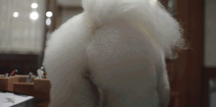 女演员被骂性骚扰,冤不冤