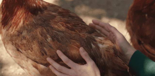 女演员被骂性骚扰,冤不冤