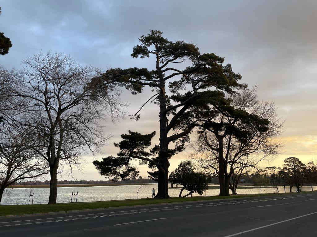 我,211硕士,在澳洲送外卖:一单能赚约30元,不会因超时和差评被罚款