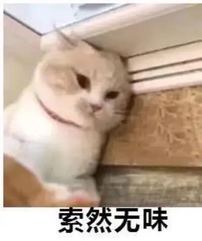 没有她，虎扑这届女神大赛可能又凉了…