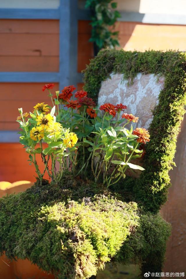 赵露思晒照告别综艺《童话》手拿气球花笑容温柔甜美