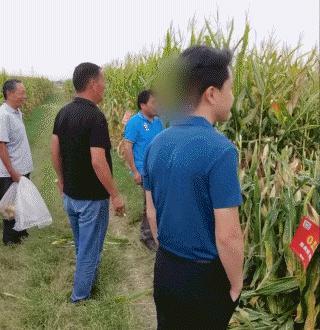 热搜爆了！顶流被举报塌房，全面封杀！