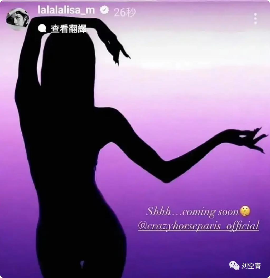 Lisa这个瓜，我是真正的震惊……
