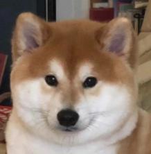 我竟然信了郭敬明