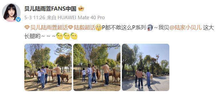 结婚17年，他和鲍蕾的结局，早已注定