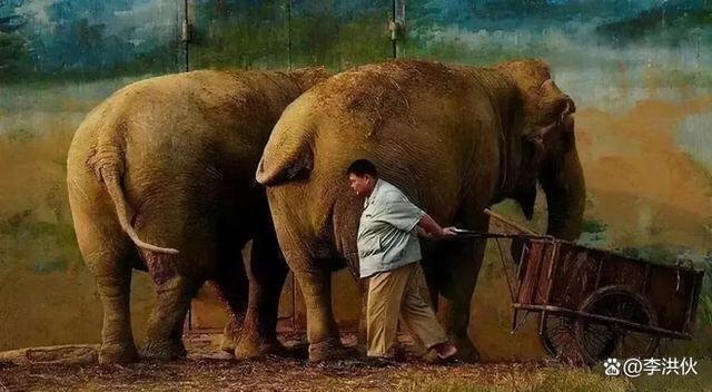 德云社演员真挣钱，孙越遛电子狗，一把小壶能换北京一套房