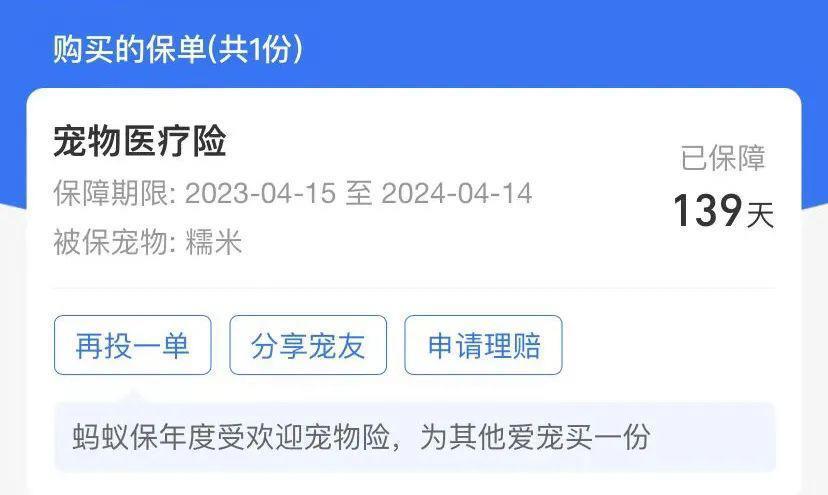 宠物险，收割4000万年轻铲屎官