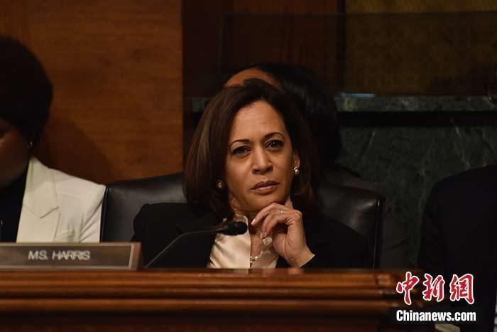 美副总统:若拜登因健康问题无法执政,已准备好接任总统