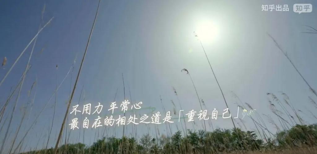 又爆一次，李雪琴的嘴让娱乐圈都脸红