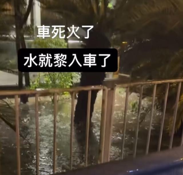 郑希怡开车回家遇暴雨，大雨挤进车厢场面可怕
