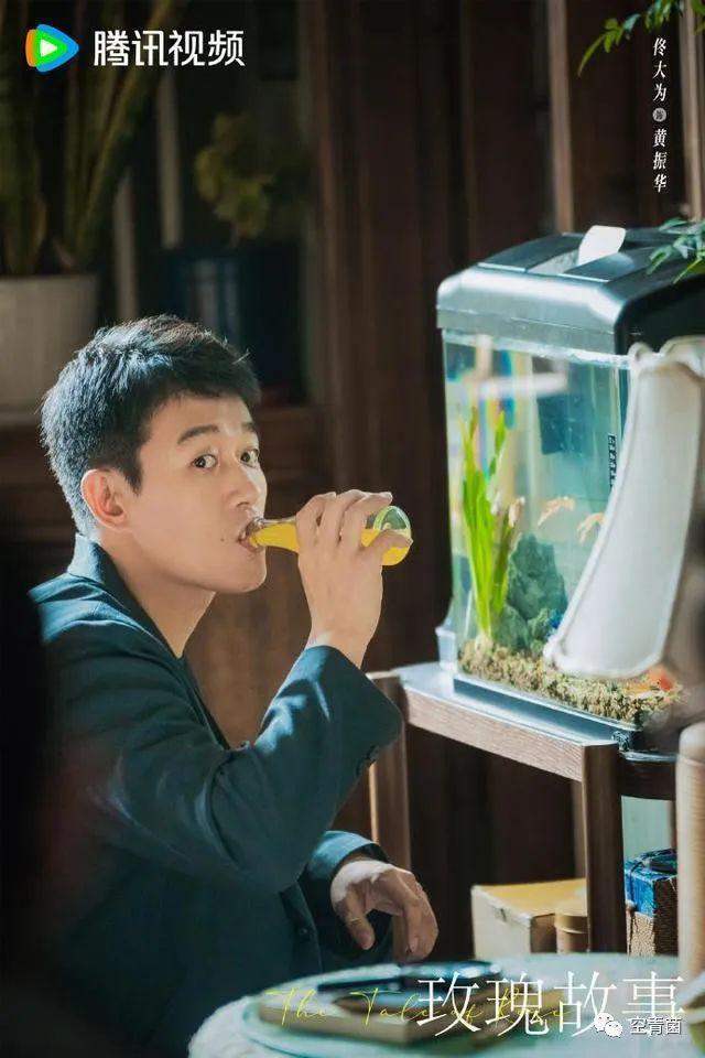 刘亦菲这次能上位成大花不？