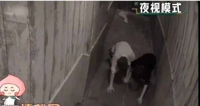 逃了四年，狠人杨幂终于成了哭包