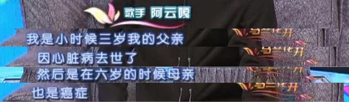 道歉了，但又翻车了。