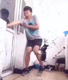 三只羊年纳税2亿,疯狂小杨哥年入百亿,靠的是啥