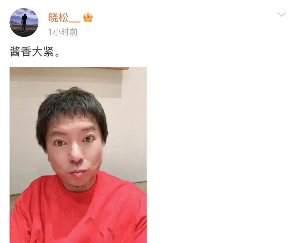 53岁高晓松近况曝光！晒自拍被指撞脸华晨宇，疑复出但遭抵制