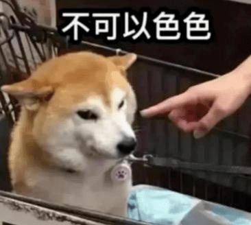 这恋情也能拍到？