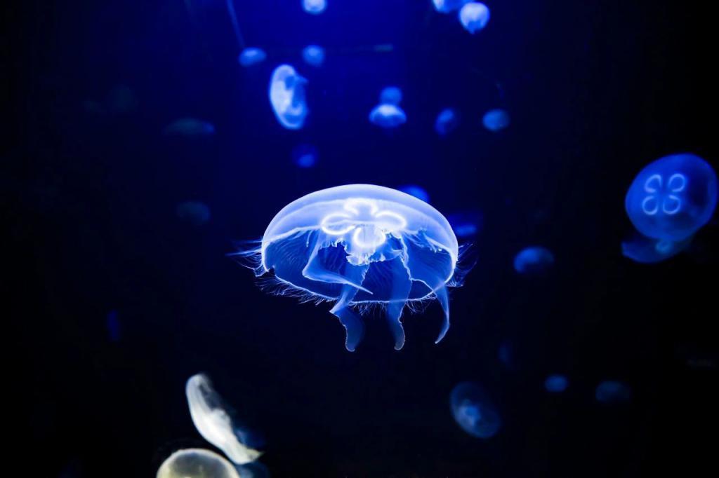 能发光的植物来了！或许会成为你的下一盏台灯？