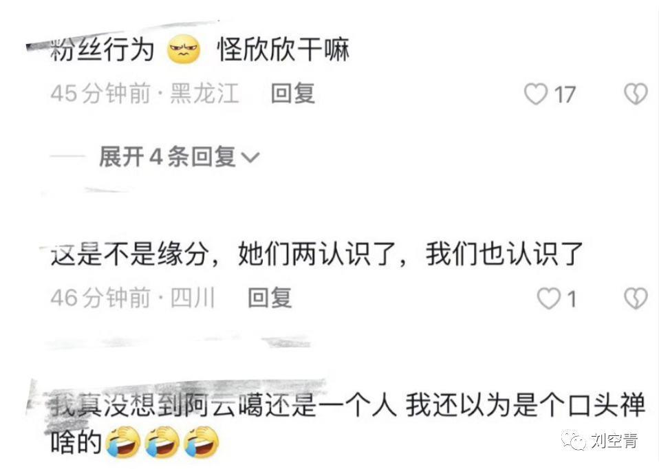 她这次真的闯下了大祸了……