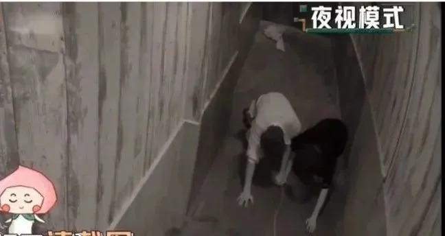 逃了四年，狠人杨幂终于成了哭包