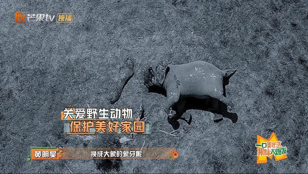 逃了四年，狠人杨幂终于成了哭包