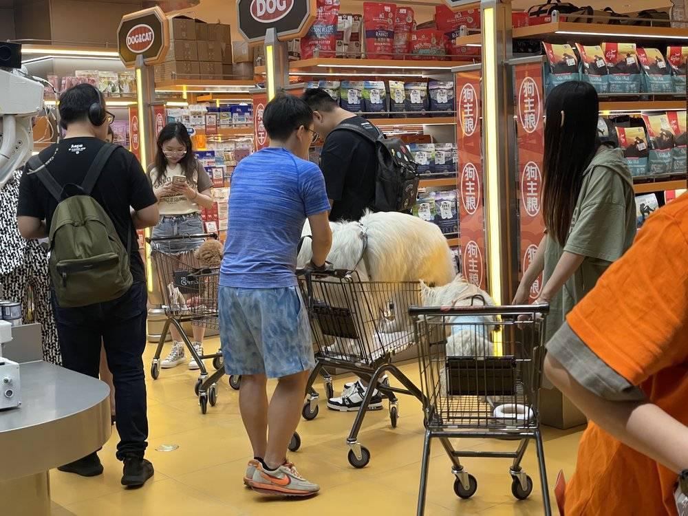 当宠物店“山姆”化