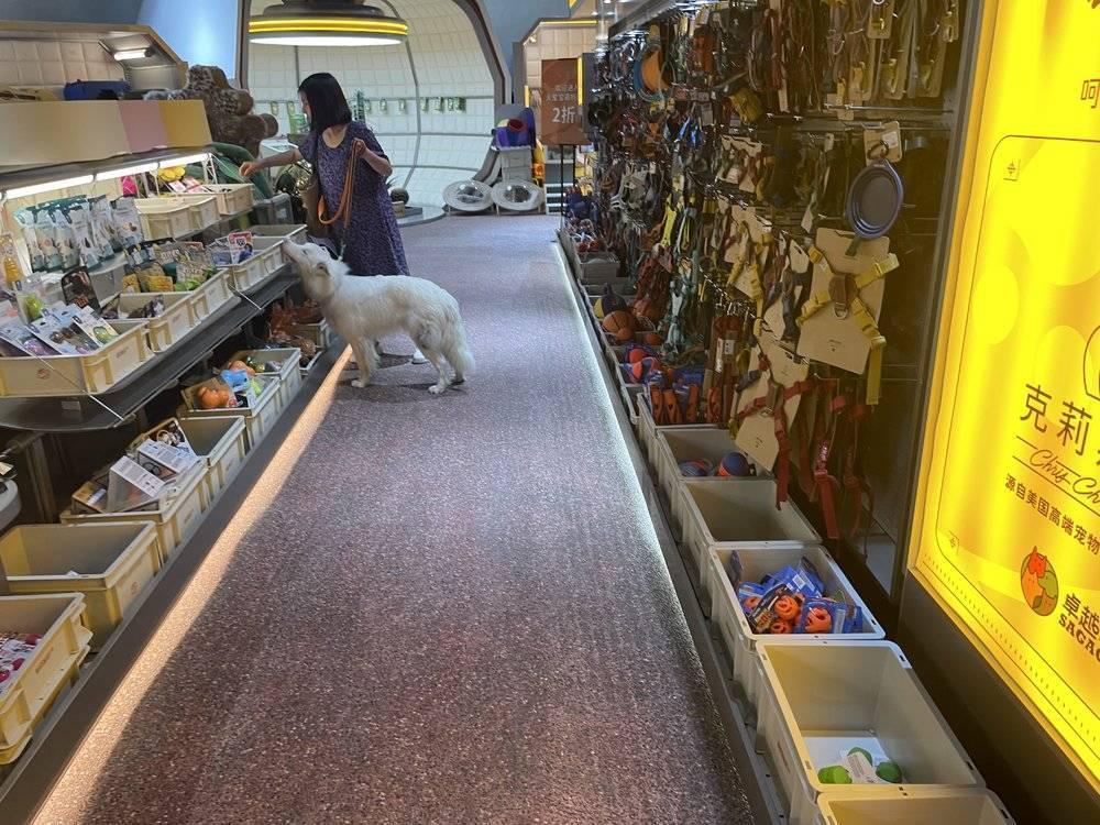 当宠物店“山姆”化