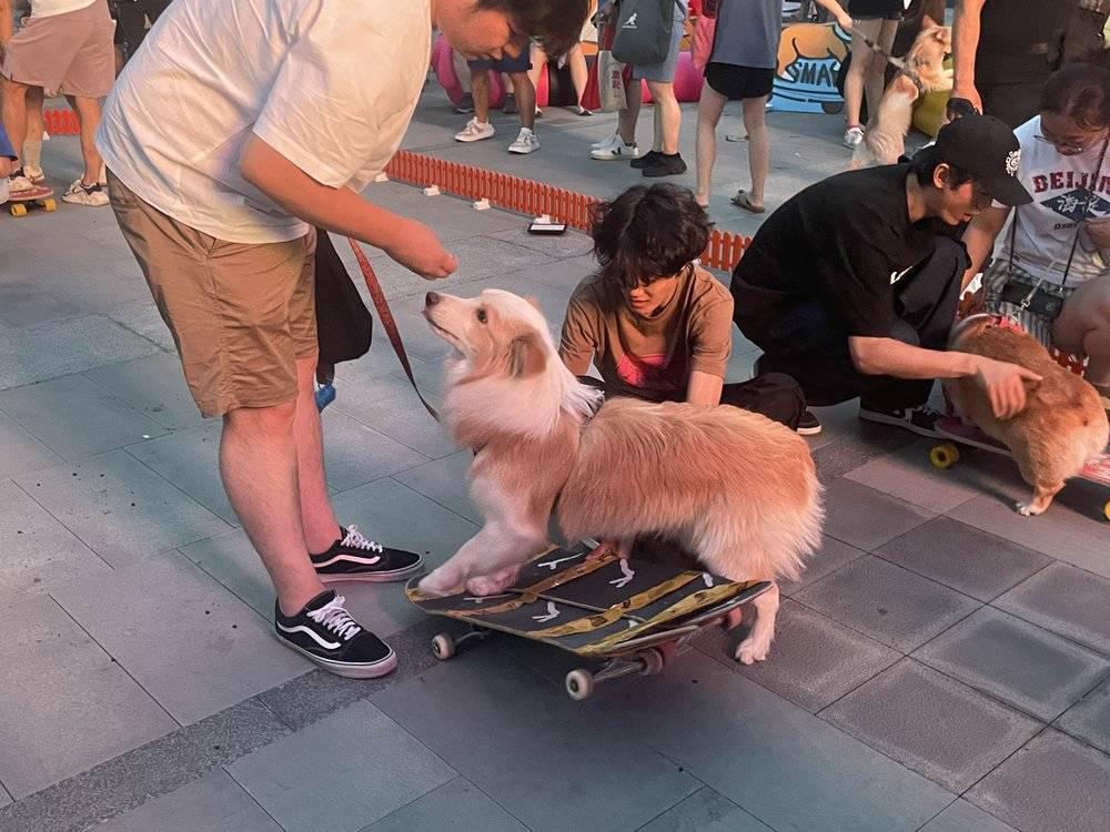 当宠物店“山姆”化