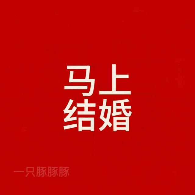 没嗑过这么野的CP