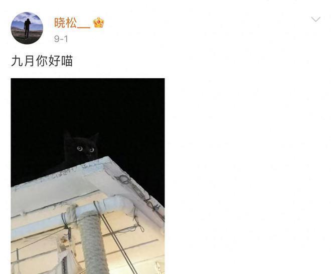 高晓松暴瘦认不出！剪短发瓜子脸似华晨宇，被疑做医美想复出