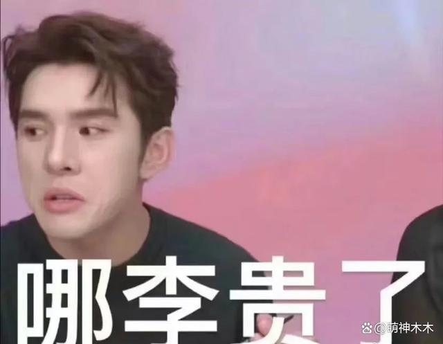李佳琦收入曝光！两年前就日赚508万，三年前买豪宅