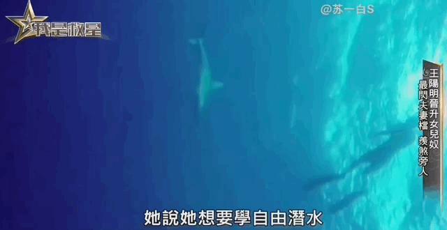 王阳明和蔡诗芸要离婚？门当户对的婚姻也能触礁？