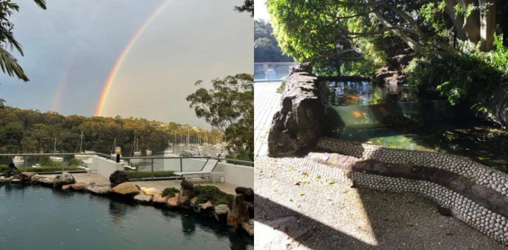 王阳明和蔡诗芸要离婚？门当户对的婚姻也能触礁？