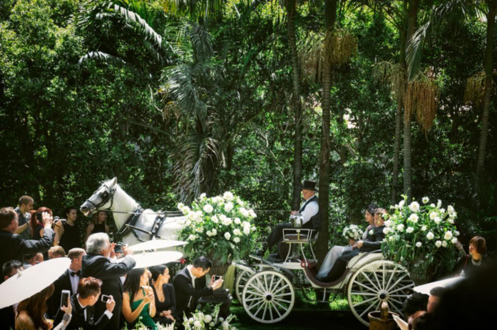 王阳明和蔡诗芸要离婚？门当户对的婚姻也能触礁？