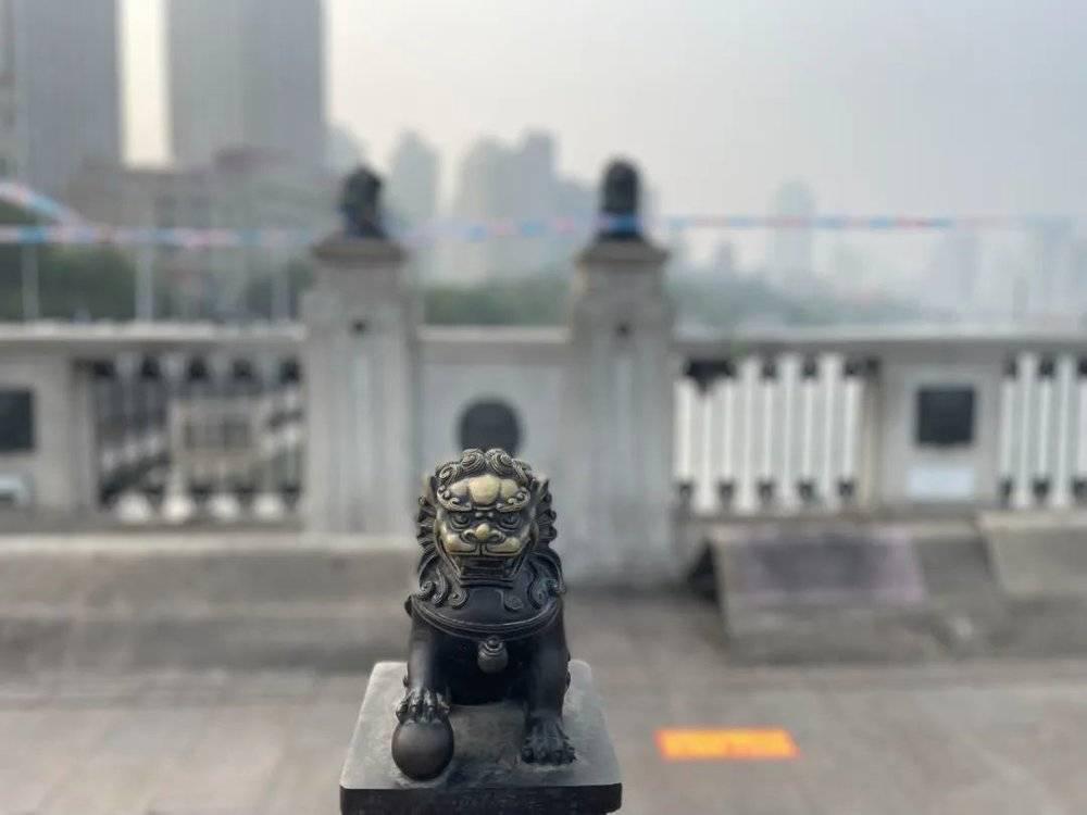 狮子林桥，疯狂的跳水和荒诞的流量