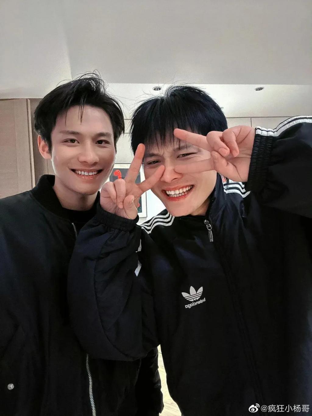 疯狂的小杨哥：纳税2亿，玩命赚钱