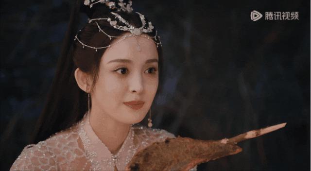 大美女的花期好短啊