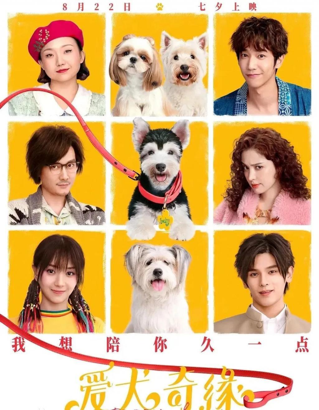 大美女的花期好短啊