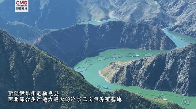 新疆“海鲜”背后，还有一盘更大的棋