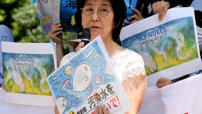 倒打一耙！日本竟到WTO“状告”中国