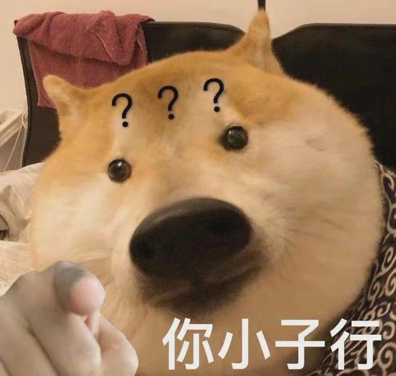 599 元的 “ 华为 P60 ” ！给我整无语了