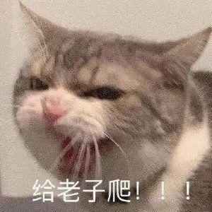 599 元的 “ 华为 P60 ” ！给我整无语了