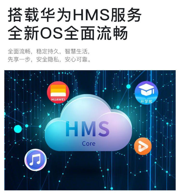 599 元的 “ 华为 P60 ” ！给我整无语了