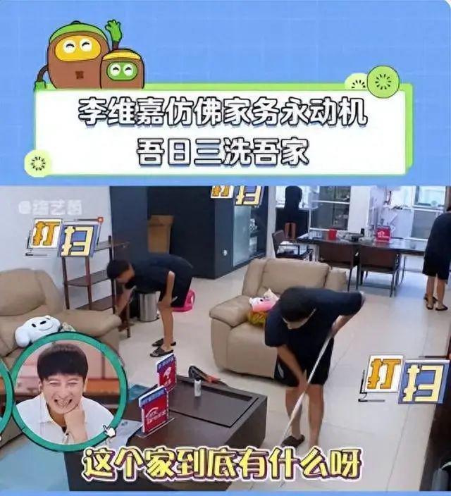 这档综艺好治愈，看完与生活中的一切都和解了
