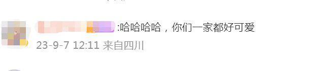 这档综艺好治愈，看完与生活中的一切都和解了