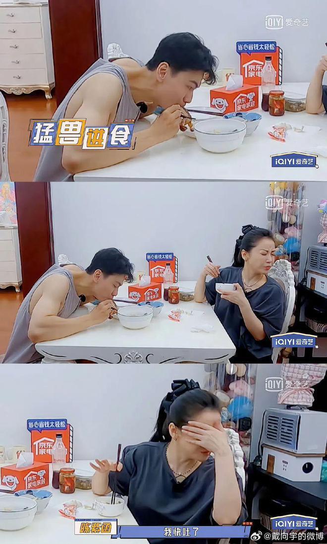 这档综艺好治愈，看完与生活中的一切都和解了