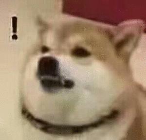 再次证明，男人有钱就会变坏？