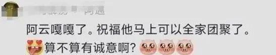 连道歉都不会,她难怪会翻车