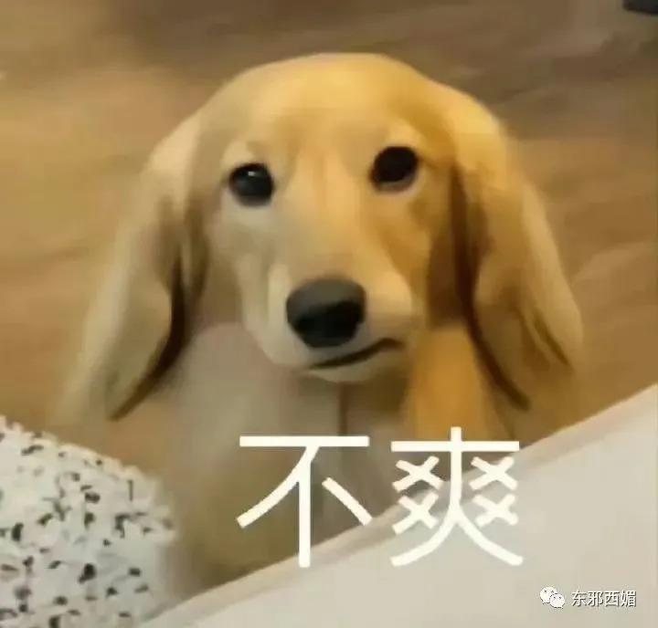 颜狗暴击！他什么时候肿成这样了？