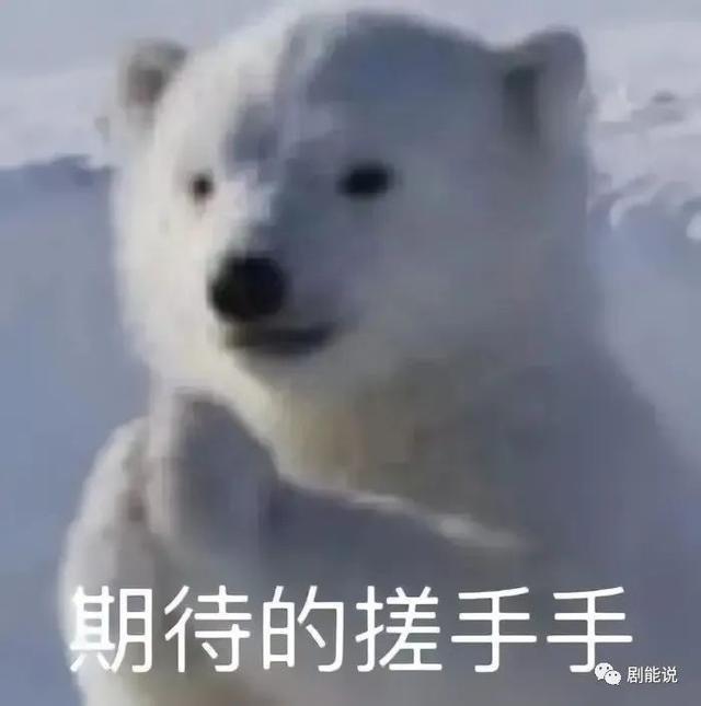 他俩这恋爱，越来越好品了